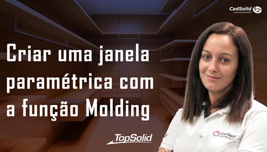 Como criar uma janela paramétrica utilizando a função Molding em Topsolid Wood